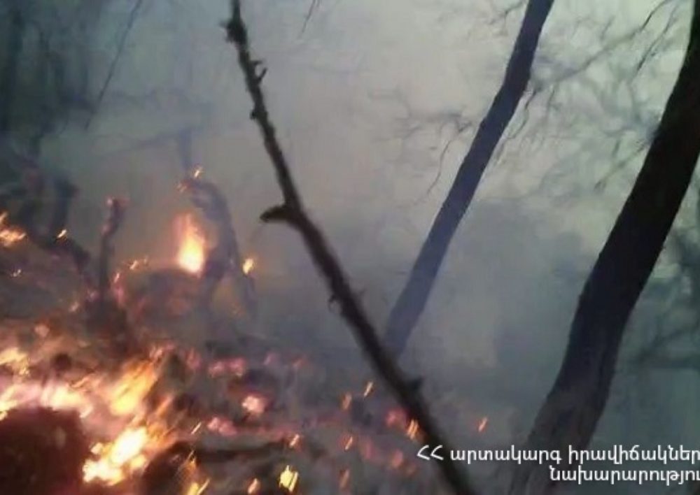 «Իջևանի անտառտնտեսության» անտառածածկ տարածքում բռնկված հրդեհը մարվել է. Տեսանյութ